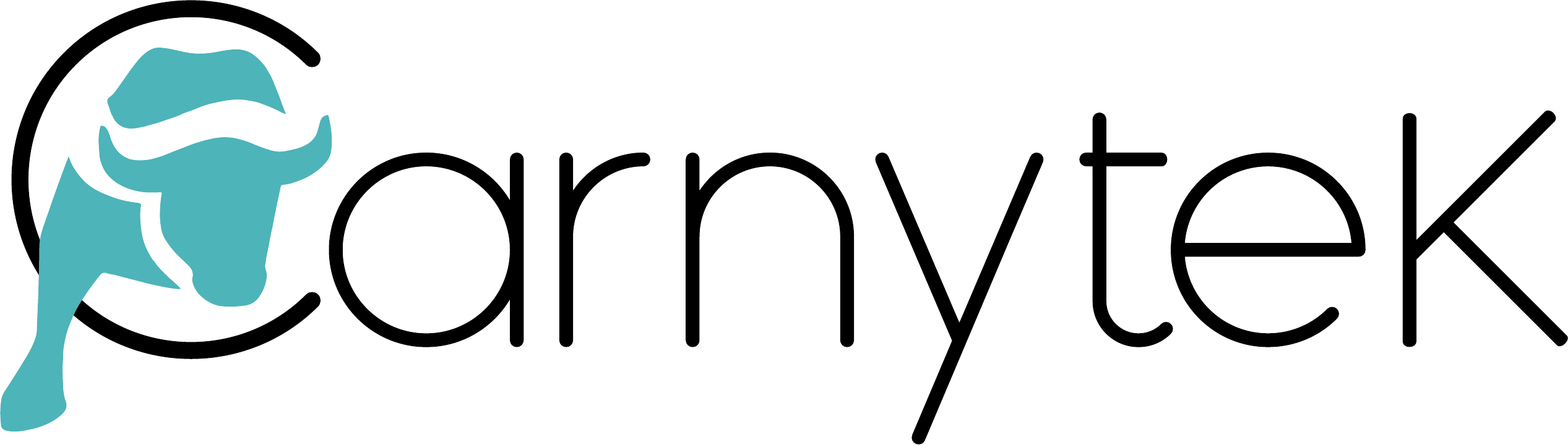 CARNYTEK