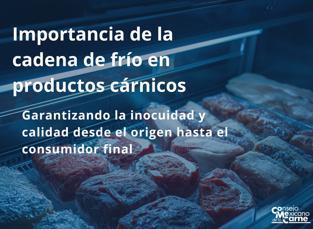 Importancia de la cadena de frío en productos cárnicos