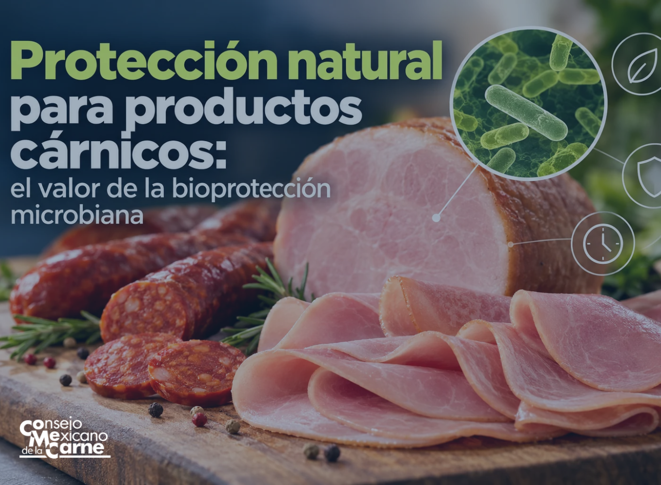 Protección natural para productos cárnicos: el valor de la bioprotección microbiana
