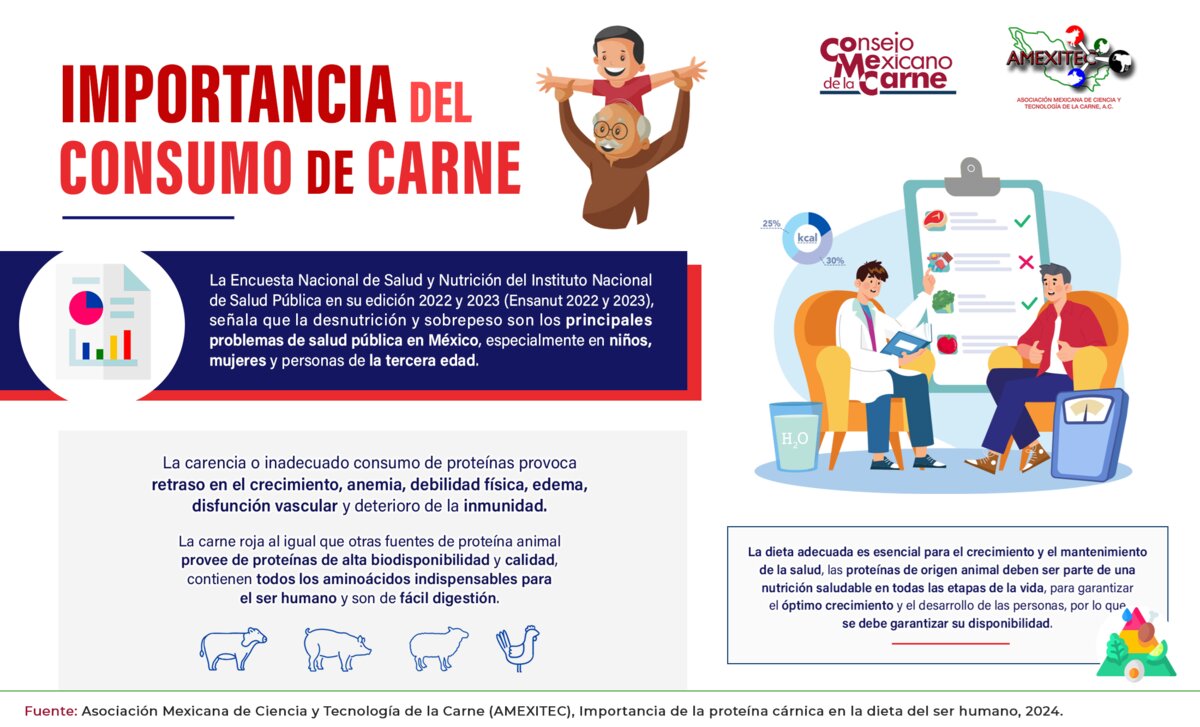 Importancia del consumo de carne