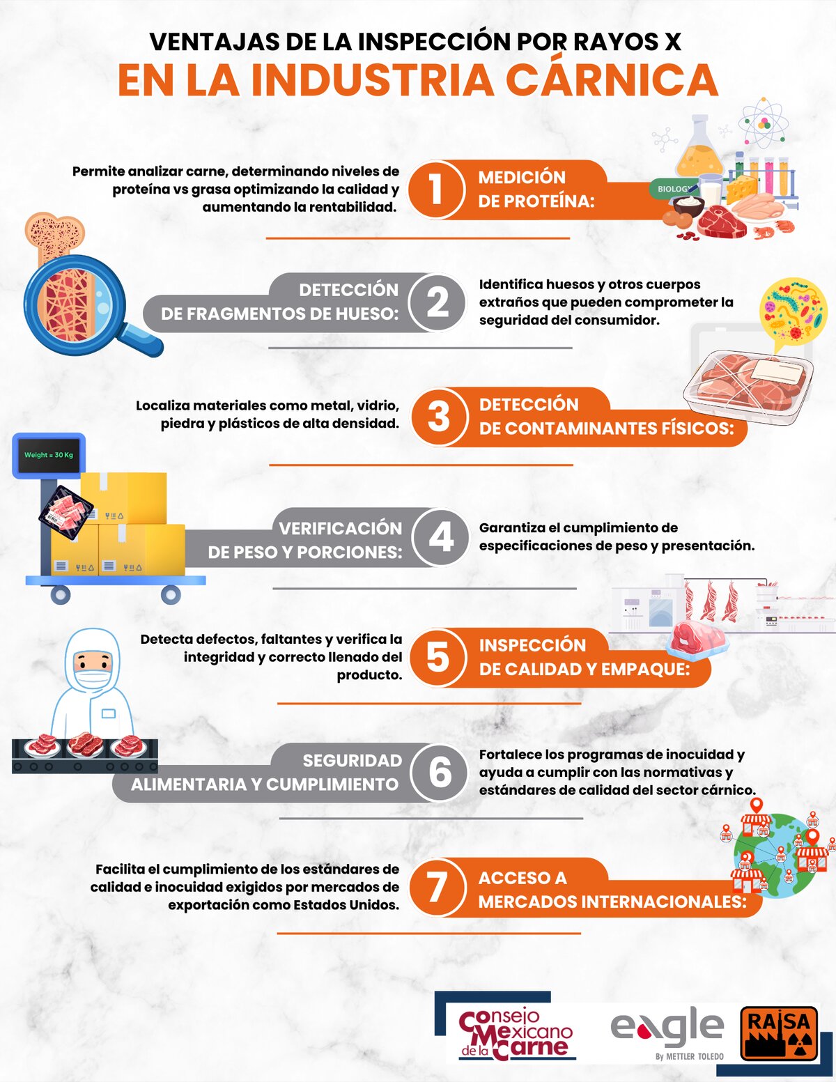 Siete ventajas de la inspección por rayos X en la industria cárnica; transcripción a continuación.