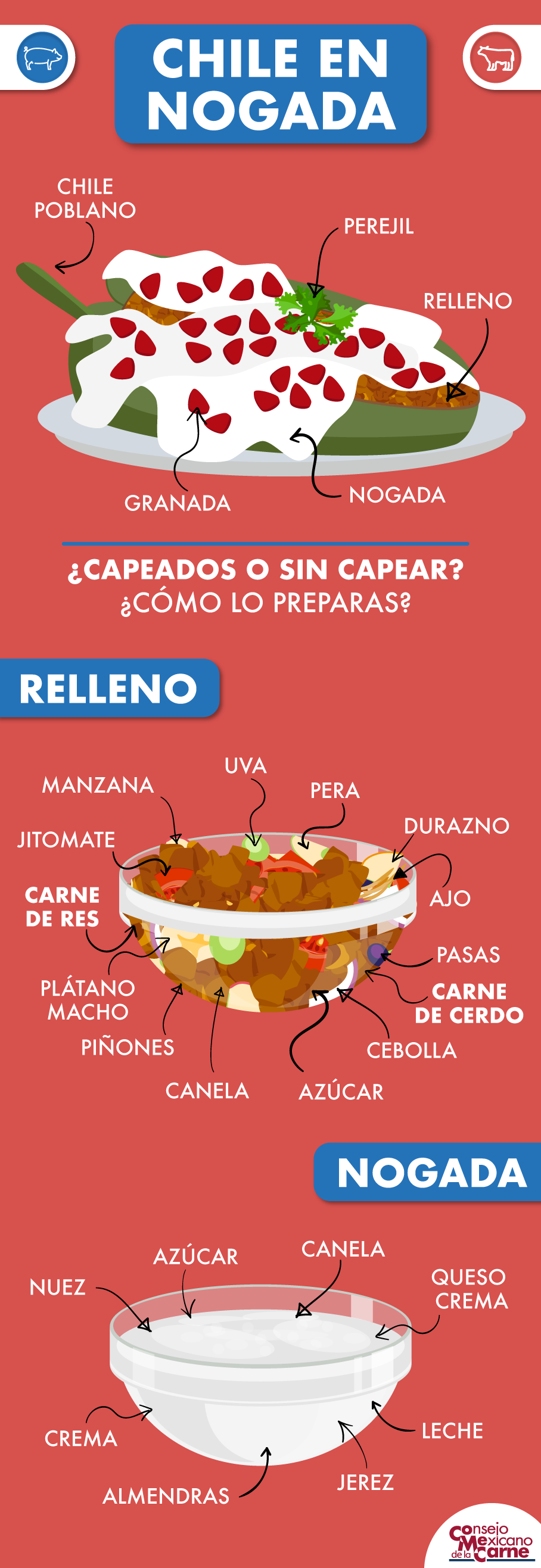 Infografía: Chile en nogada – Consejo Mexicano de la Carne