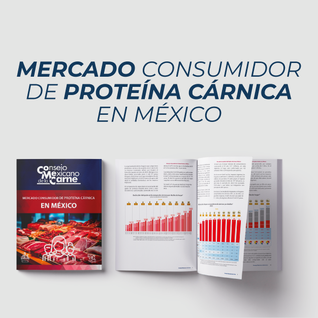 mercado-consumidor-mexico