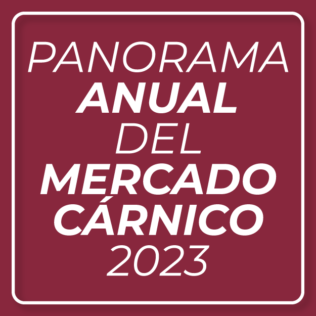 panorama-anual-mercado-carnico